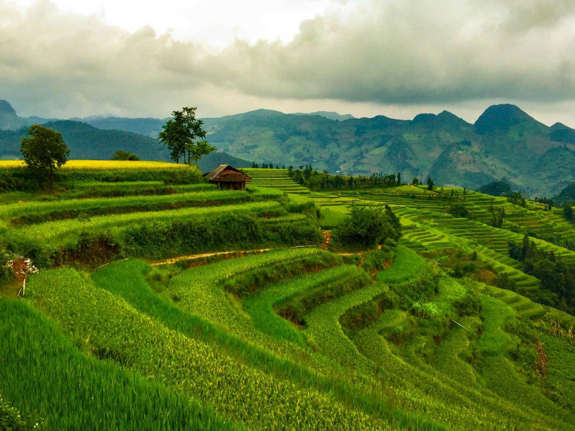 Cong Fu Hotel Bac Ha  Eksteriør bilde